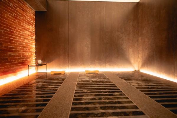 Wellness Room with ReFa