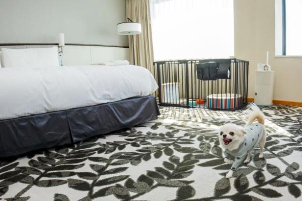 宿泊プラン「愛犬と一緒に過ごす ドッグフレンドリープラン」