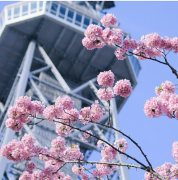 THE TOWER HOTEL NAGOYA
